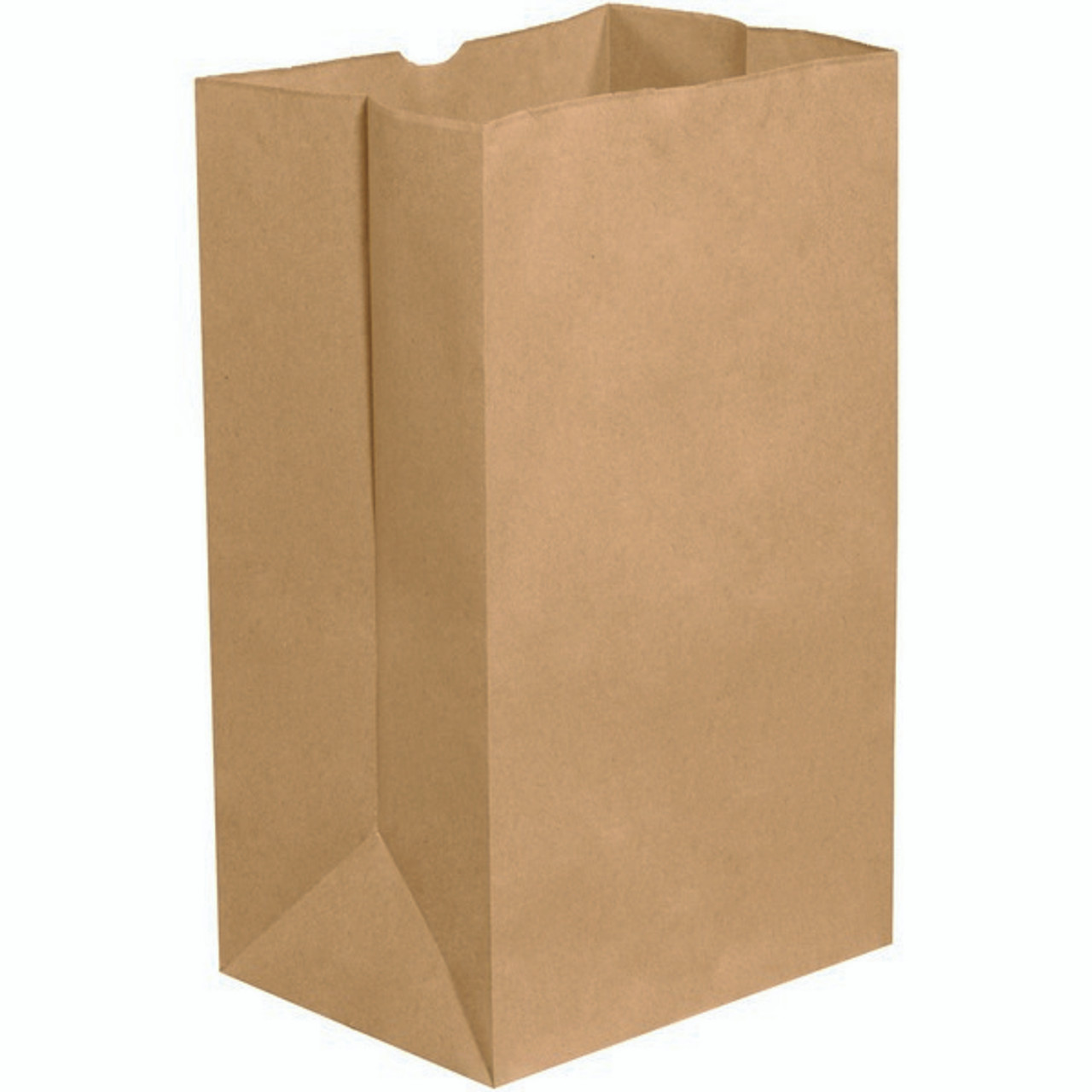 20 LB HEAVY SQUAT GROCERY BAG 500/BUNDLE